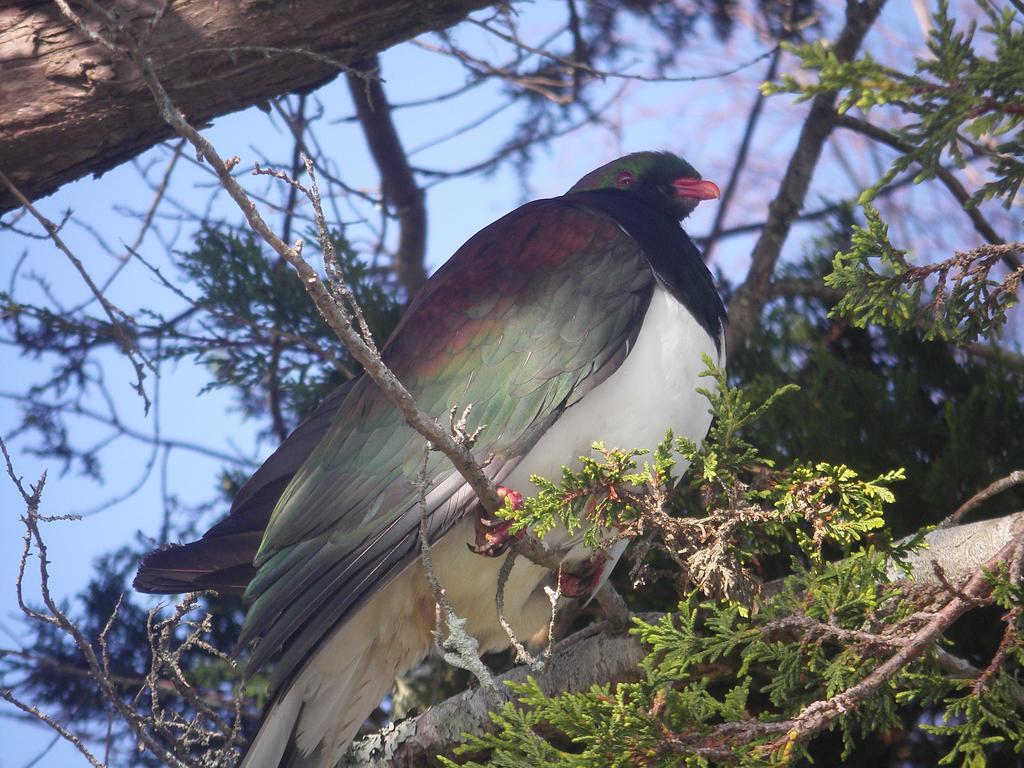 Harbourside Holiday Park Whitianga Zewnętrze zdjęcie